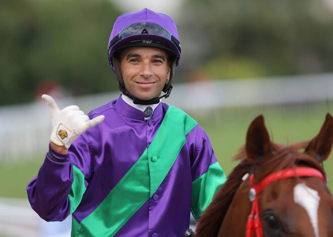 Bulb’s chances are bright under Magic Man Moreira