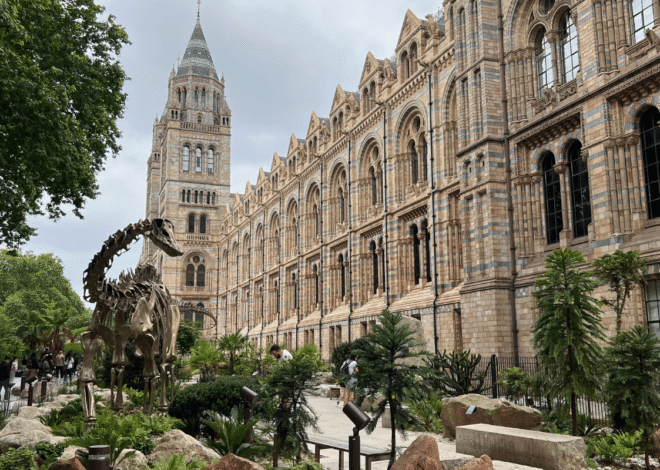 Things to Do in London in June