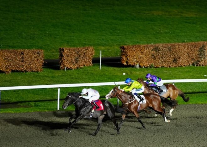 Zennor the bet after Storms at York