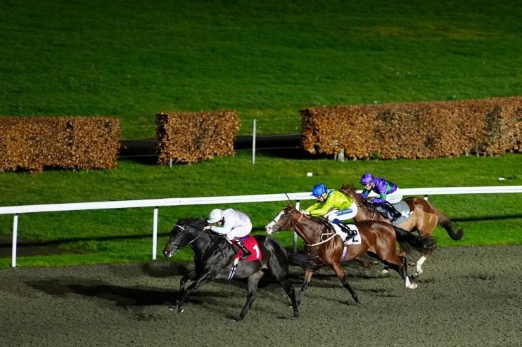 Zennor the bet after Storms at York