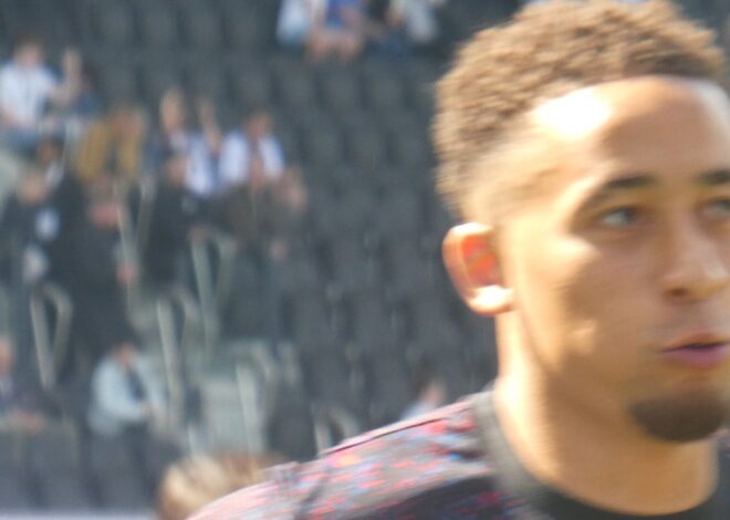 Tavernier FPL GW9: Bournemouth Assets vs Leeds